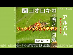 カネタタキの調べ コオロギ類の鳴き声図鑑Vol 4アルバムダイジェスト /Crickets Chirping of Japan Archives Vol.4