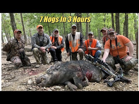 7 Hogs Down In One Day Full Hunt At High Adventure Ranch