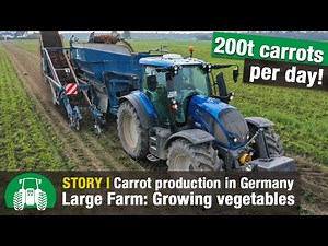 Gemüsebau Großhans | Carrot Harvesting with Valtra Tractors | XXL Vegetable Farming | Special crops
