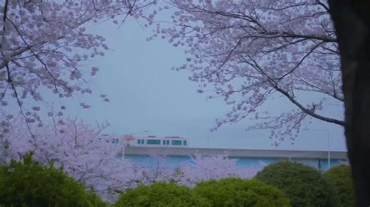 Busan Metropolitan City TV Spot, 'Unforgettable'