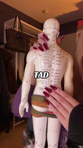 With special guest Sebastian 🐈 #asmr #tad #tingles | asmr