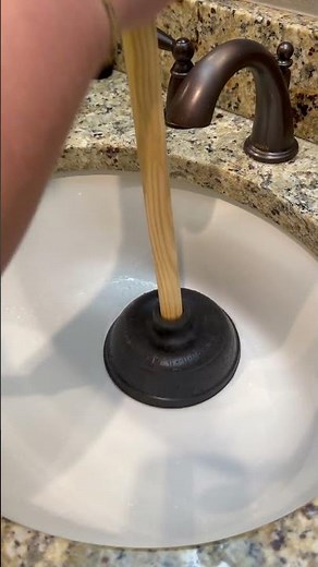 Best Sink Plunger for Kitchen and Bathroom | Duo Flush Sink Demo