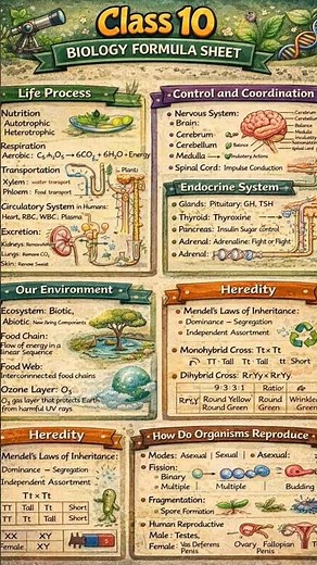 Class 10 Science Formula Sheet | Physics, Chemistry, Biology Quick Revision with AI 🚀📚