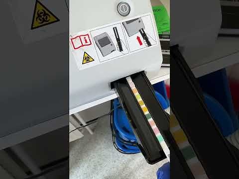 Urinalysis teaching using Siemens Clinitek Status Plus analyzer