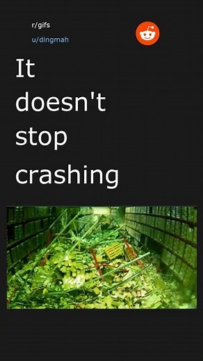 Daily Top Reddit Posts #92. 02/13/22. Top post in r/gifs.