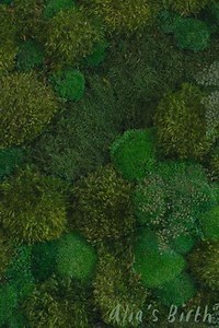 Alia's Birth (2021) - Movie