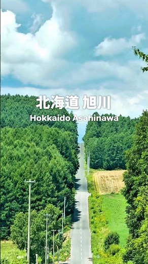 【北海道 旭川】おすすめの観光地5選🌾定番とお寿司屋さんも🐟就実の丘はもっと有名になってほしい #就実の丘 #旭山動物園 #旅行 #北海道