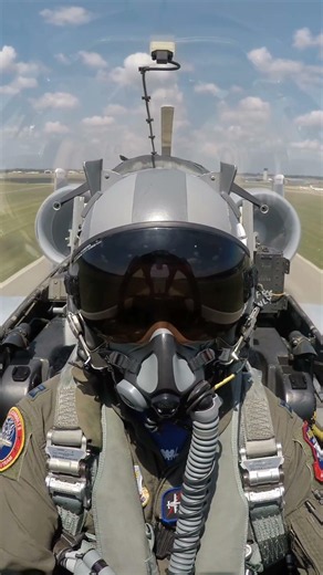 A-10 Thunderbolt II Raw (Warthog) (1)