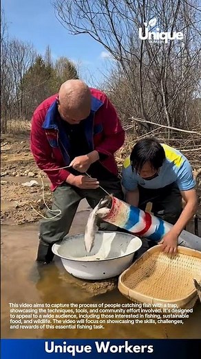 Fish catching for beginners: a simple guide to fish catching