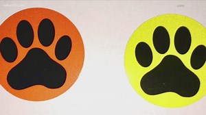 Postal Service program place stickers outside mailboxes to help prevent dog bites to carriers