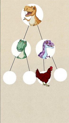 🐔 HÜHNER DNA = T-REX! Schock-Fakt