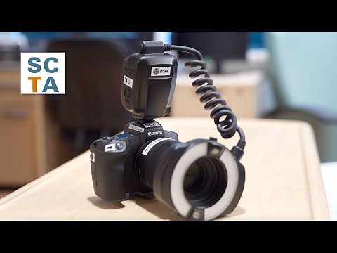 Learn How Forensic Nurse Examiners Empower Survivors of Sexual Assault