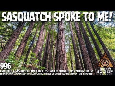Logger Encounters Sasquatch and Realizes They Are Intelligent | Archives | Bigfoot Society 996