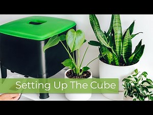 Tumbleweed Cube Setup