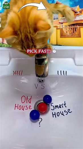 Old House 🏚️ vs Smart House 🏠