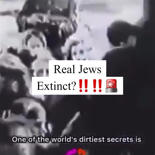 VocaverisHoc - MEGA on Instagram: "Real Jews Extinct?‼️‼️🚨 #truth #viral #mega #fyp #makeearthgreatagain #trending"