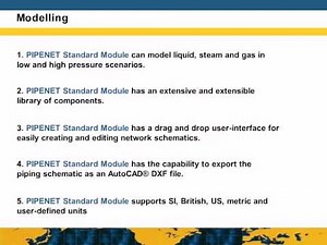 PIPENET® Vision Standard module