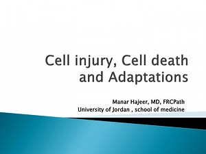 Cell Injury and Adaptations: Mechanisms and Consequences - SlideServe