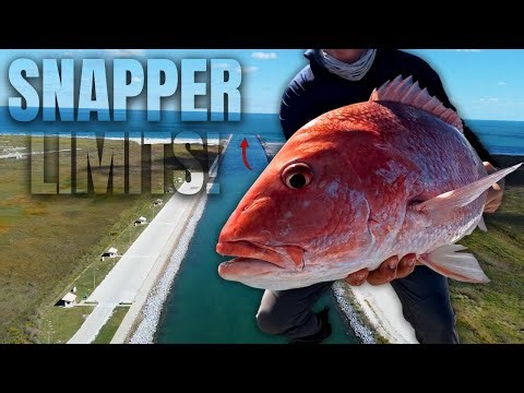 State Water Red Snapper Fishing | Is This Reel TOO Good? (Corpus Christi, TX)