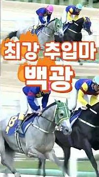 ⚡백광💥최강 추입🐎은빛 가속도💥역대급 추입마💥다크호스명승부⚡백파 💕경마예상🐎경마방송🐎경마예상방송💕경마실시간🏐경마정보🐎토요경마⚡다크호스명승부 🐎다크호스경마💕경마🎈경마장🚩경마