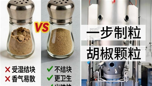 一步制粒机做胡椒颗粒【浙江健牌机械科技有限公司】普通胡椒粉 vs 胡椒颗粒，区别有多大？从粉到粒，健牌沸腾制粒技术一步成型。防潮锁香，品质升级。#制粒机