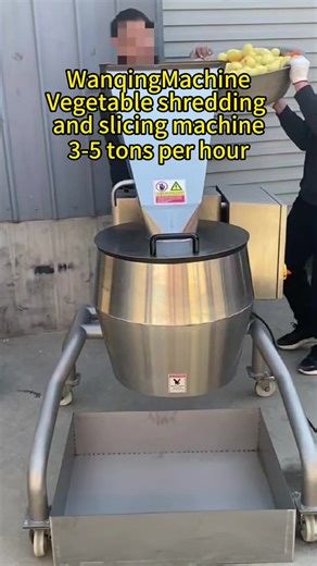 Vegetable Shredding and Slicing Machines Overview