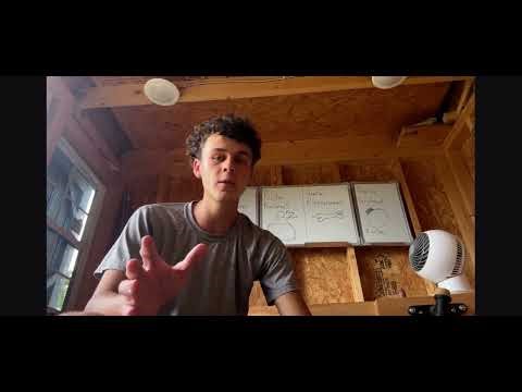 Operant conditioning explained for dog training