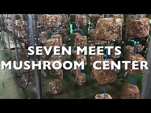 【vol.6】きのこ屋が教える椎茸の菌床作り『放冷編』