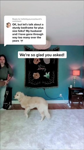 Flexing on Big Fig Foundation & Bed Frame? Don't Miss This Chance!