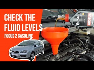 How to check the fluid levels Focus mk2 1.6 TI 📏