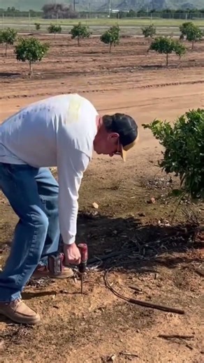 Subsurface Irrigation Made Simple #SubsurfaceIrrigation #AgTech