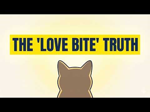 The Truth About "Love Bites": Why Cats Bite the Ones They Love