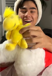 Checking out the #snoopy Christmas Animatronic from @Lowe’s unboxing o...