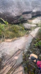 22K reactions · 1.4K shares | ✨ ¿Sabías esto de Roraima? El agua...
