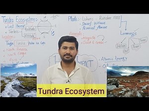 Tundra Ecosystem Fsc Biology class 12
