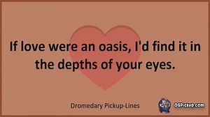 Dromedary - Pickup-Lines & Rizz for Him & for Her