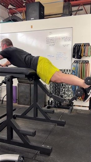 Reverse Hyperextension | 1 & Quarter Ladder | Bilateral | Table Flat | Foot Plate | Westside