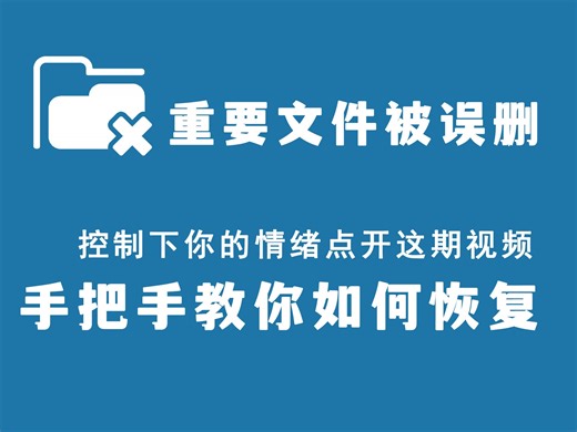 重要文件被误删？莫慌！手把手教你如何恢复！主打一个完全免费