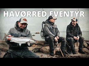 Amazing Seatrout Adventure In Denmark & Sweden (Spring Fishing Ft. SÖLV)