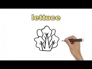 How to draw lettuce easy tutorial