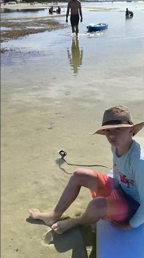 Capel Sound on the Mornington Peninsula at low tide. January 2nd 2026 #morningtonpeninsula