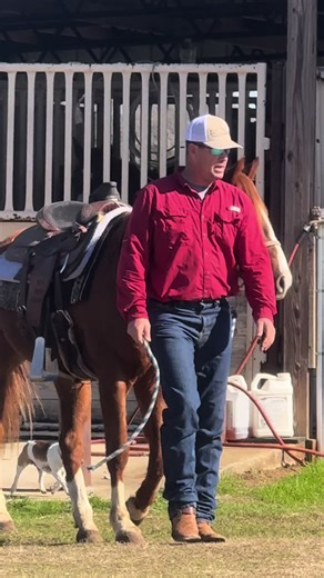 The perfect Sunday morning💕