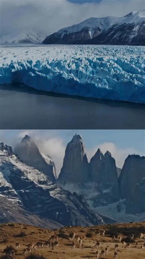 La historia de Explora en la Patagonia crece🏔✨ En diciembre 2026 Explora abre dos nuevos lodges: uno en El Calafate, junto al imponente Perito Moreno, y otro en el lado más salvaje de Torres del Paine. Pronto podrás recorrer múltiples destinos patagónicos en un solo viaje, viviendo experiencias profundas y transformadoras. ¿Listo para planear una aventura inolvidable? Reserva con nosotros para vivir esta experiencia!! #Explora #ExploraPatagonia #Patagonia TorresDelPaine ElCalafate PeritoMoreno 