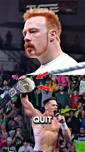 Sad Truth Why Sheamus QUIT WWE And It's NOT Money 😨 #wwe