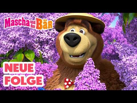 💥 NEUE FOLGE 💥 Picknick im Violetten 🪻 💜🧺😊 Episodensammlung 🎬 Mascha und der Bär