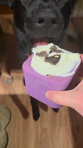 Not gonna lie.. I was sweating the sniff test tonight 😬 | Ten Shakes of Grace