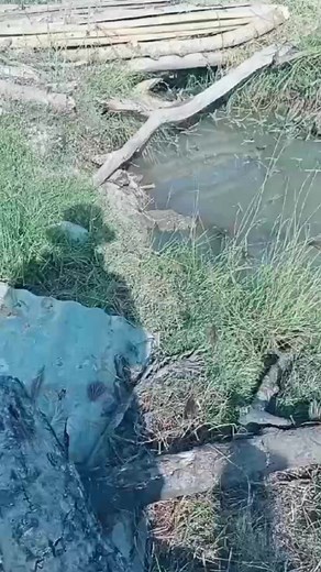 294K views · 2.1K reactions | Soun sistem nya in yg gublugg臘臘 #Kubotaracing #reel #fbpro #fypviral @sorotan | Dewa Mangku | Facebook