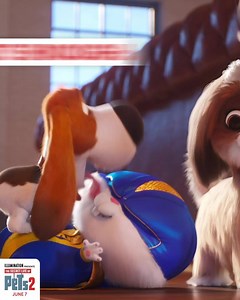 1.2M views · 739 reactions | Pops is too old for this sit. Get your tickets for #TheSecretLifeofPets2 now, in theaters June 7. | The Secret Life Of Pets | Facebook