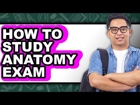 How to Study Anatomy Exam (Full Guide)
