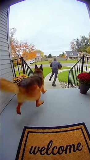 Caught on Camera: Porch Pirate Prank Gone Hilariously Wrong! #Prank #PorchPirate #USA #Funny #Viral